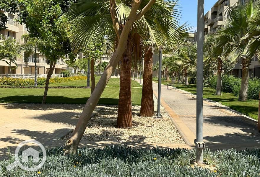 14 953f1c04-b316-4d8f-87e2-6be3aef33124. jpg