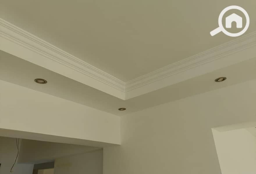 7 cac4b7fc-7054-4991-bc88-971a7ee3196c. jpg