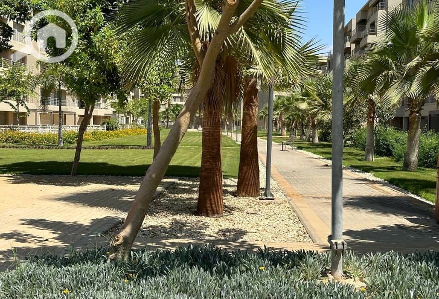 10 953f1c04-b316-4d8f-87e2-6be3aef33124. jpg