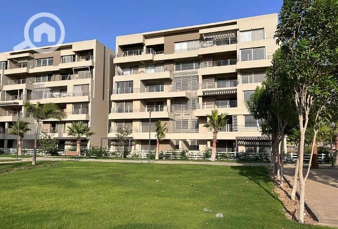 17 8218148-c339bo. jpg