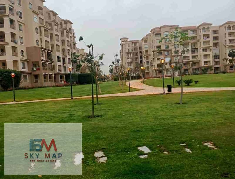 1000239697. jpg 1000239697. jpg