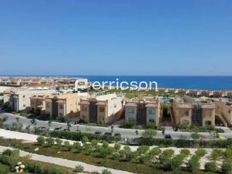 17 Untitled design (5). jpg