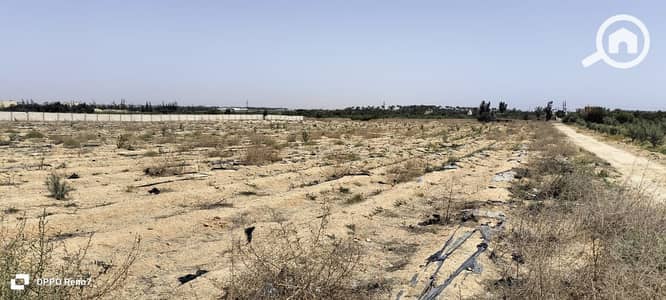 زراعي  للبيع في 6 أكتوبر، الجيزة - WhatsApp Image 2025-10-16 at 22.12. 05_402d74af. jpg