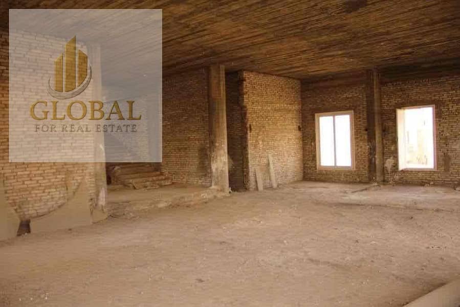 10 e557d335-0f0d-4bc1-a8ab-de94dc53c53c. jpg