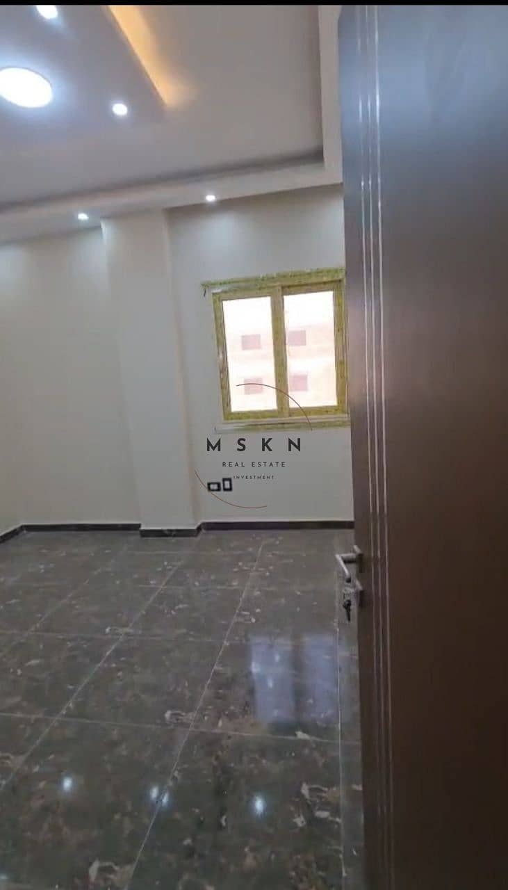 4 photo_2025-11-18 14.43. 46 (1). jpeg