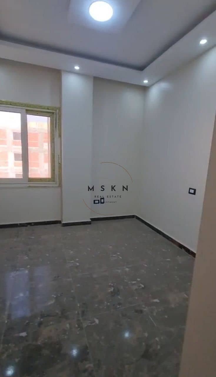 11 photo_2025-11-18 14.43. 42. jpeg