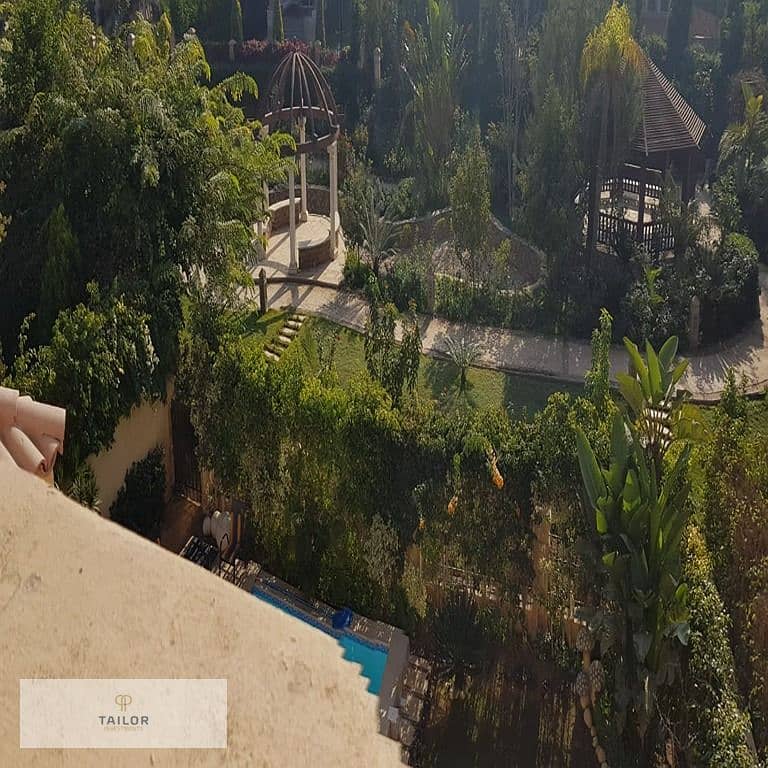 10 cc77098c-b5e5-4ed4-99a6-0743e4dc6506. jpg