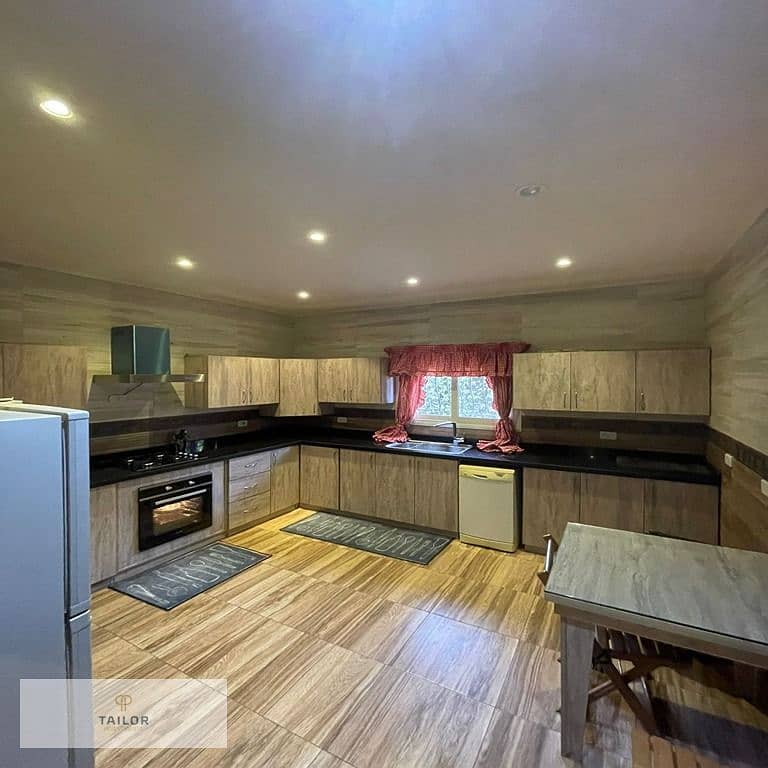 11 d228b901-ab8d-4c53-a491-3c2a6ebfb51a. jpg