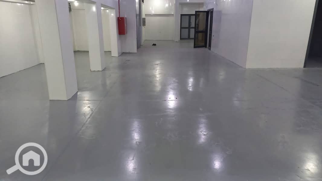 3 WhatsApp Image 2025-11-17 at 16.39. 33_060d6480. jpg