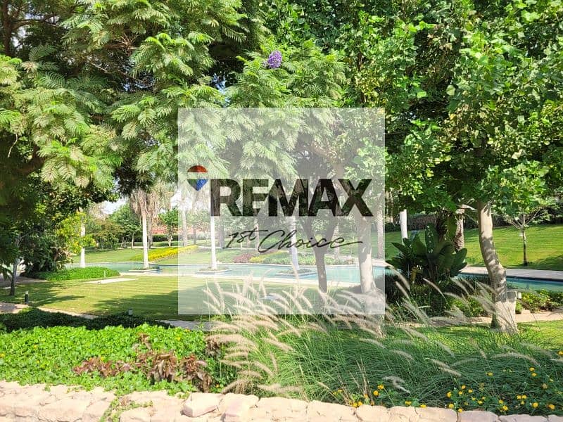 5 f88705ea-5dd3-477d-a2a8-da7d43c27c7e. jpg