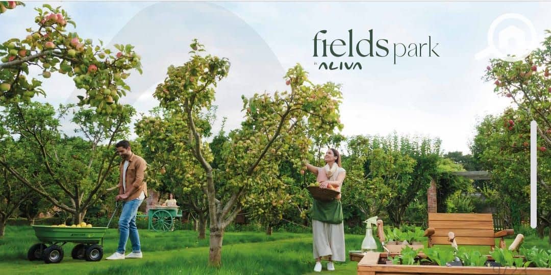 2 ec613cfd-6656-4ccb-b288-a12b05186d5c. jpg