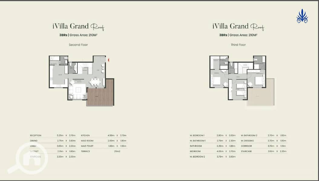 3 19a69d98-59a5-407a-b5ec-c4276d95a913. jpg