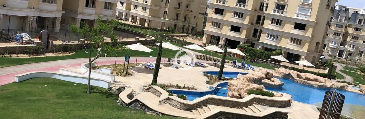 11 507dff2b-47d5-414e-9c3b-d63e44eeb7e4. jpg