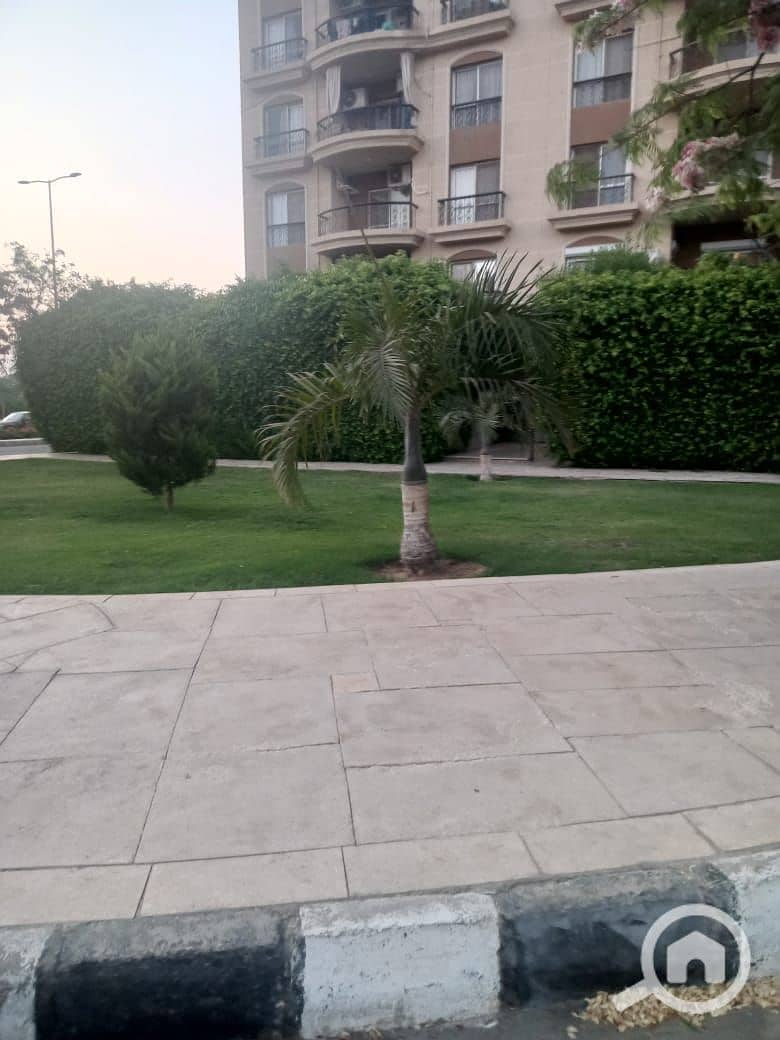 4 7442f781-a178-4246-87f3-c9a95a237a83. jpeg