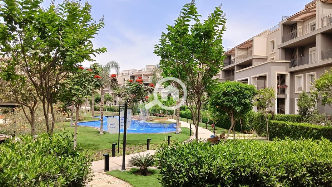 5 d4614756-3b25-4c0b-b477-66c1141f51d7. jpg