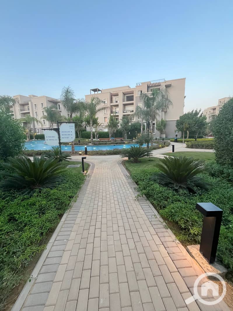 9 36b9f951-a2d5-4d4a-973d-a9241ed328b8. jpg