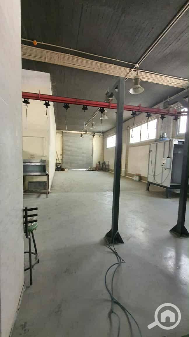 5 09be1523-818d-4cbc-823c-cc9427fafd04. jpg