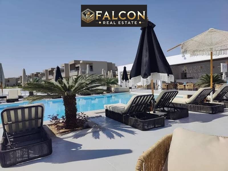 5 4ac094ae-96ca-44c7-bccf-ddb573c1326d. jpg