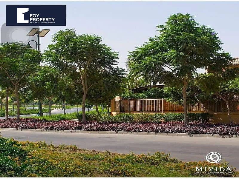 3 155680017-800x600. jpg