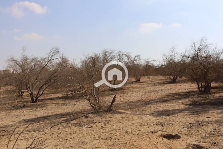 5 WhatsApp Image 2025-11-01 at 12.44. 01_acc6bede. jpg