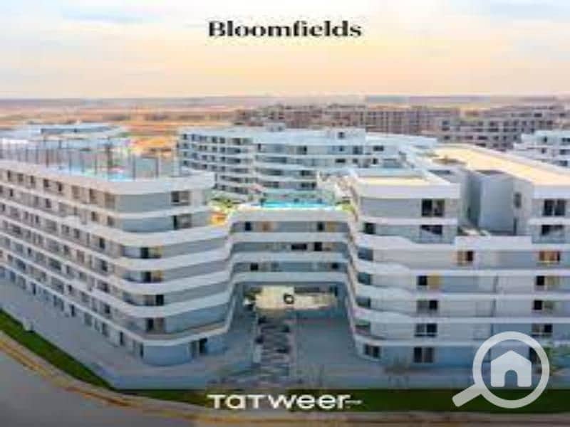 3 images (1). jfif. jpg