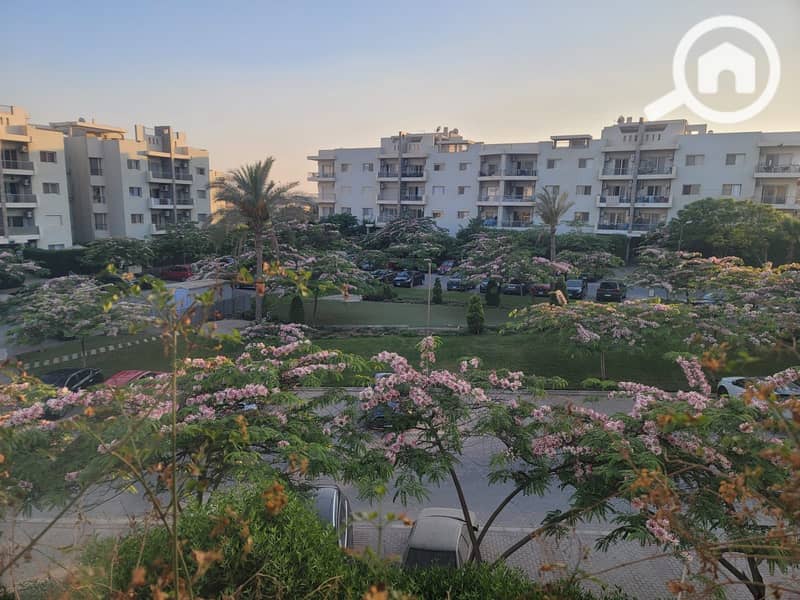 4 2e5e7585-d0d4-4ee1-bd47-62a670c42af0. jpg