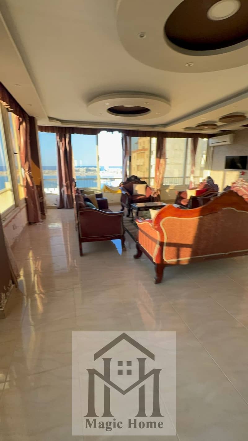 4 268008ed-a132-4336-ae0f-2b29c3e34914 (1). jpg