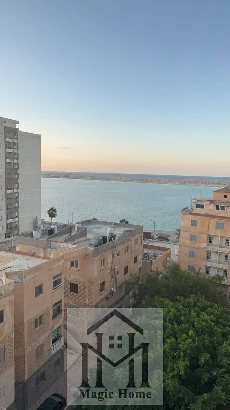 6 7c6ed8fe-0483-4c39-af96-a944b19a5758. jpg