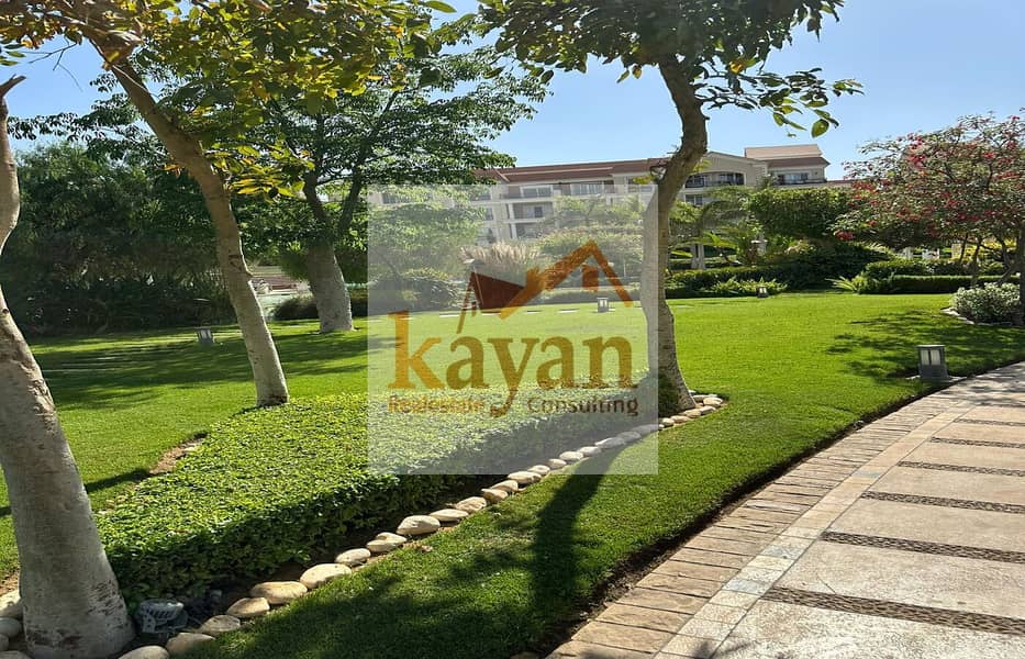 5 2438f063-e4d6-4401-b093-a81e18a327cc. jpg