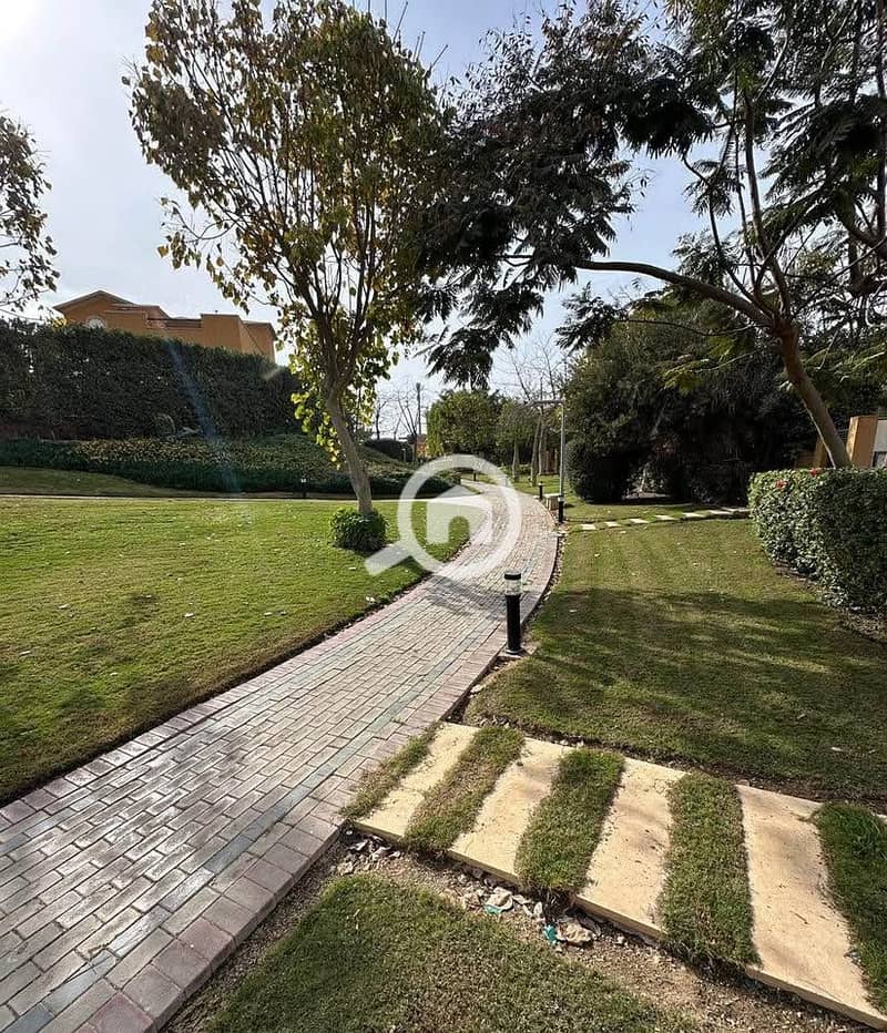 6 503416030_1079167764153459_1336826833628119696_n. jpg