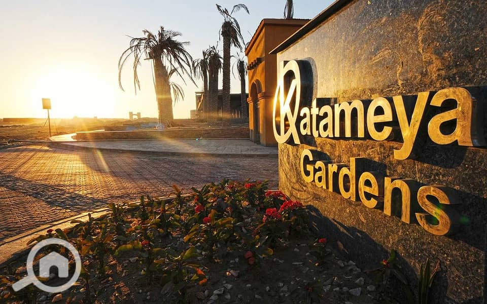 4 422345860_896277832284142_2159982300001690875_n. jpg