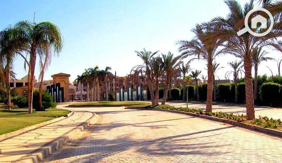 6 422353867_896277745617484_199515090432309124_n. jpg