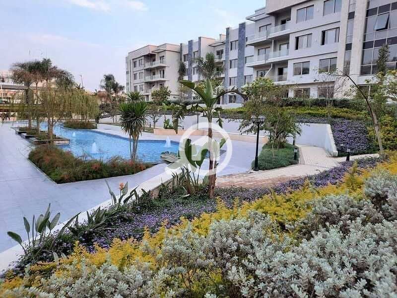 10 440096300_278933361951619_8113524716578996795_n. jpg