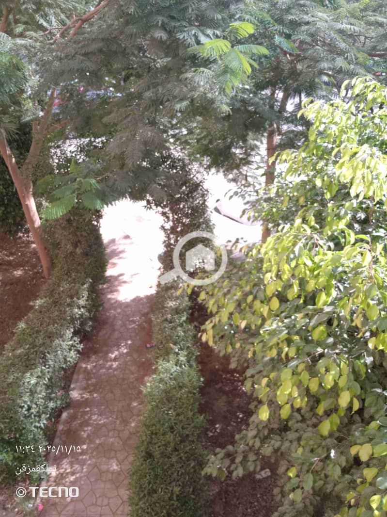 1000447127. jpg 1000447127. jpg