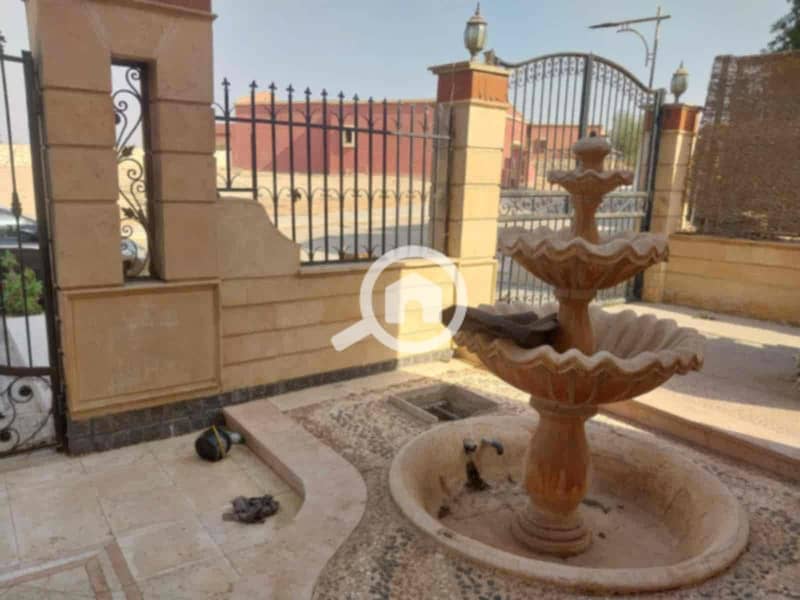 9 29596e20-46e9-49d6-b450-f86b0332cbf4. jpg