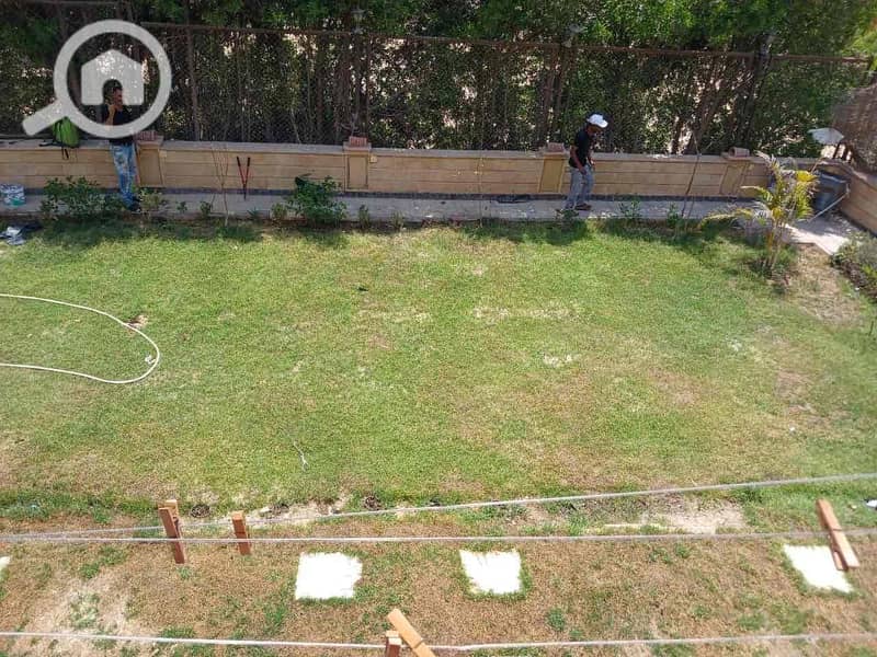 16 e6ea9141-5c39-4e08-97f4-9ae8ef3d61eb. jpg