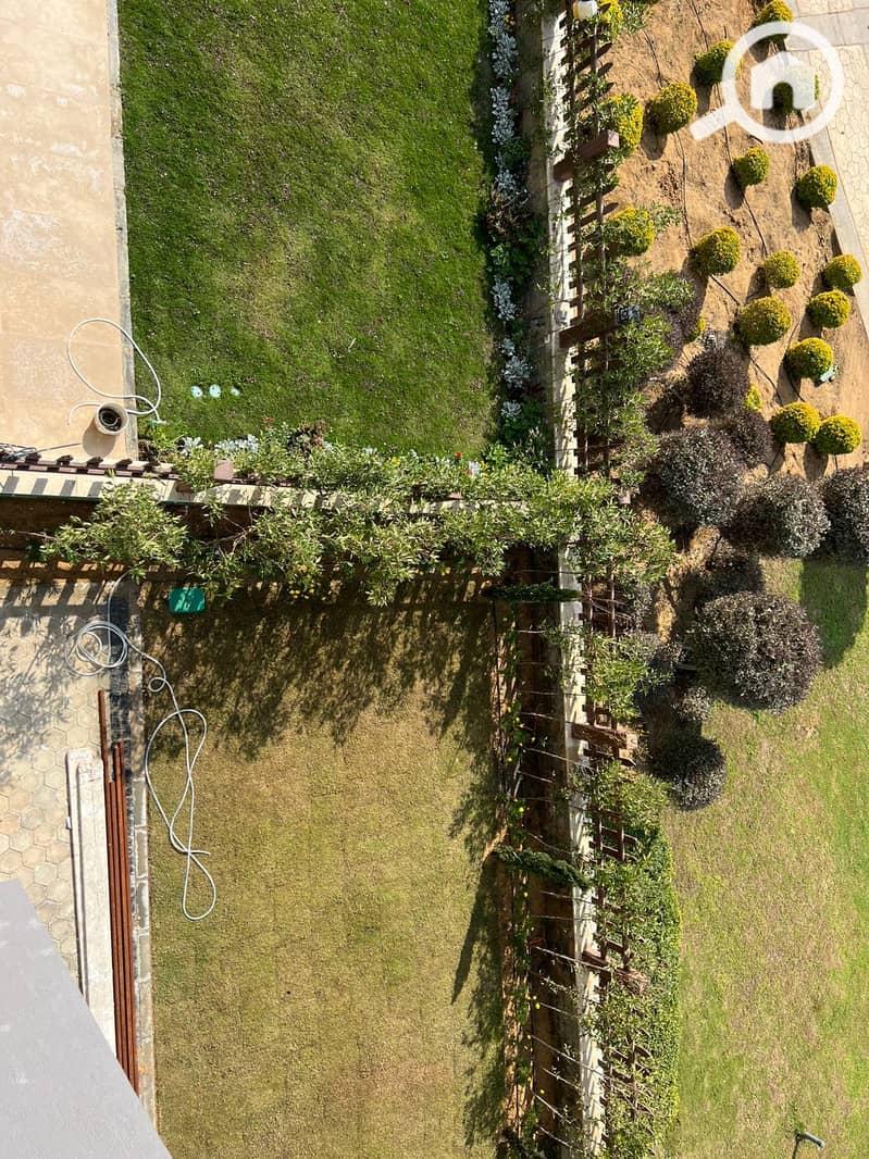 dff3f739-458a-496d-9f95-8989e927956e. jpg