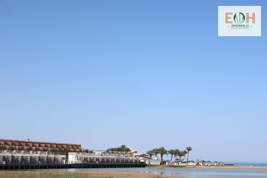 5 IMG_0890 - Copy - Copy - Copy. jpg