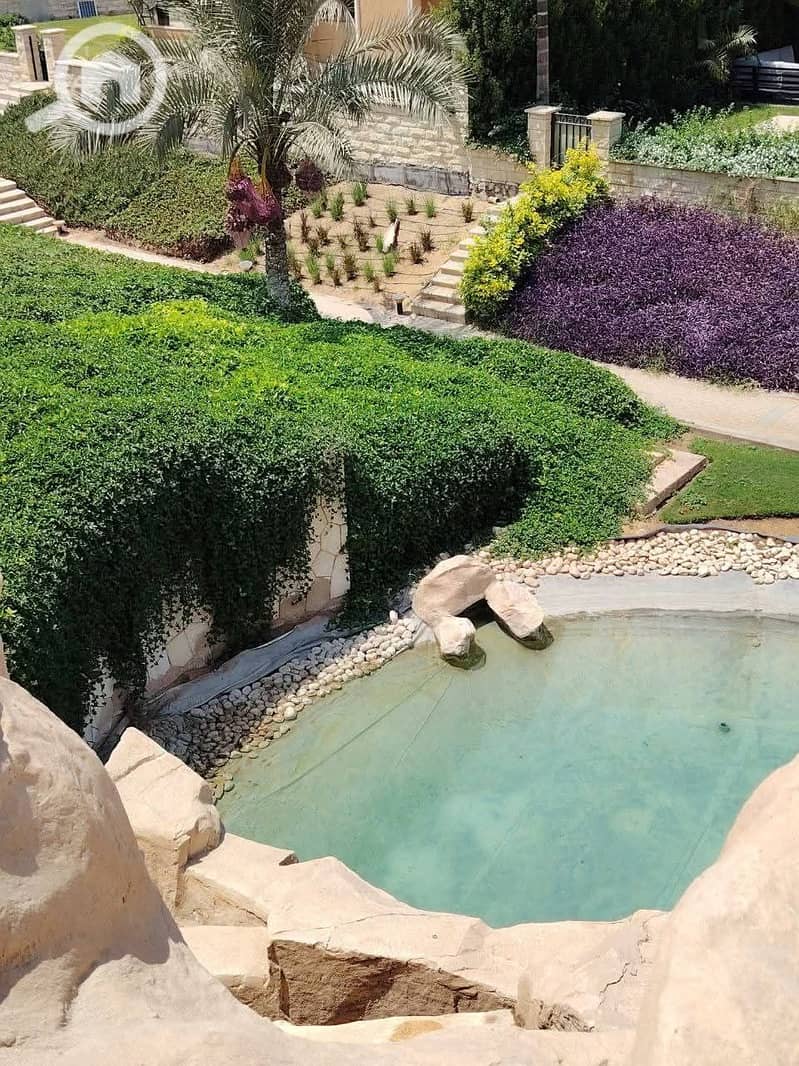 4 FB_IMG_1753261923024. jpg