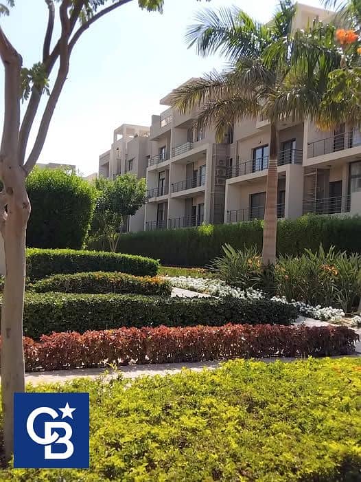 8 548218953_2449208345466223_1832083233149366280_n. jpg