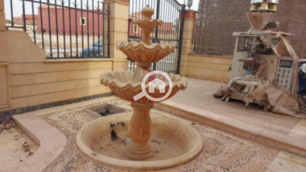 11 23b63ede-2adb-49ce-b816-acf1b6eea6f7. jpg