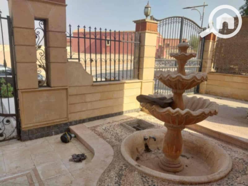 12 29596e20-46e9-49d6-b450-f86b0332cbf4. jpg