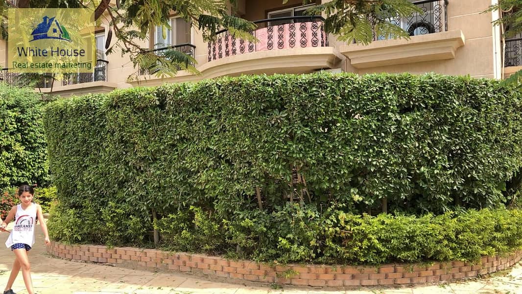 WhatsApp Image 2025-10-31 at 11.47. 03 PM (3). jpeg