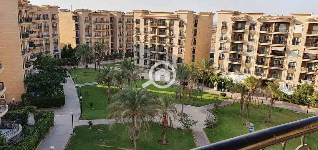 6 FB_IMG_1684146664120. jpg