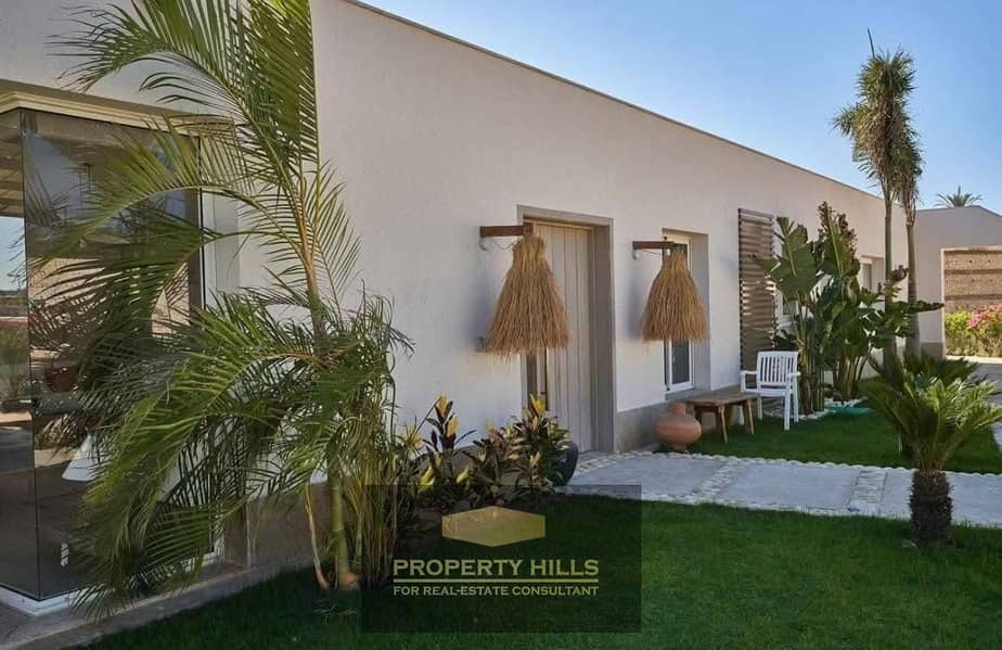 4 WhatsApp Image 2025-06-30 at 4.44. 17 PM (1). jpeg