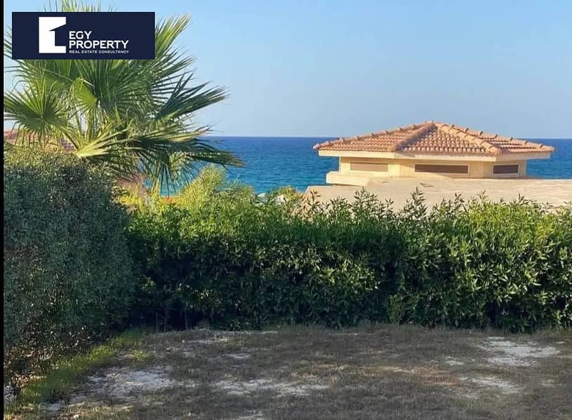 10 495089330_1027478392693680_5585306265426552597_n. jpg