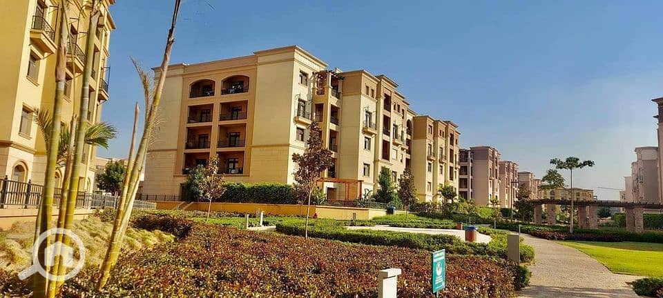 7 213704415_1706961529493717_4170493939171786870_n. jpg