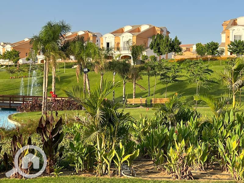 4 5d1a0a7d-6c57-41c2-92fe-576b5b8be2c9. jpg