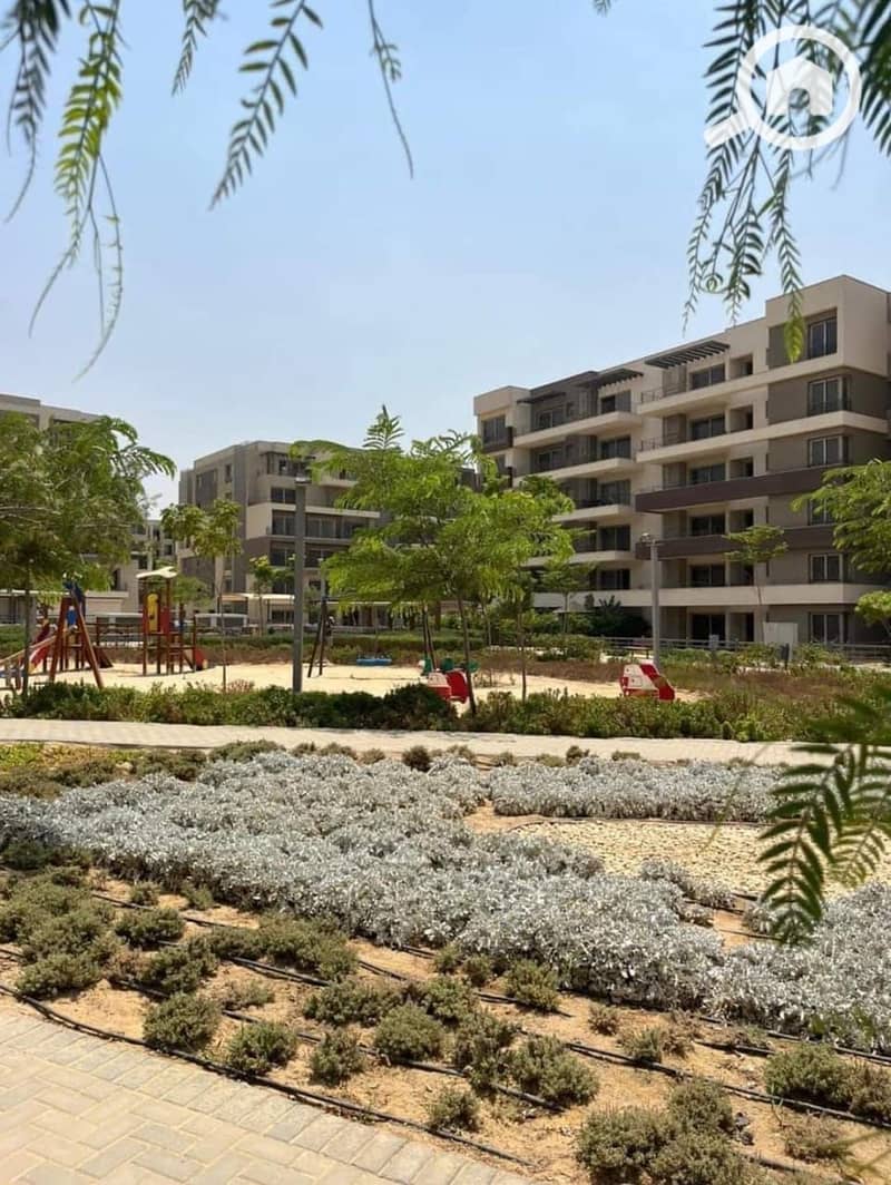 8 WhatsApp Image 2024-10-21 at 07.21. 19_85e9fd57. jpg