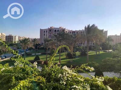 2 Bedroom Apartment for Rent in New Cairo, Cairo - 17e52f84-901b-4a91-b981-899d9f8b6948. jpg 2 Bedroom Apartment for Rent in New Cairo, Cairo - 17e52f84-901b-4a91-b981-899d9f8b6948. jpg